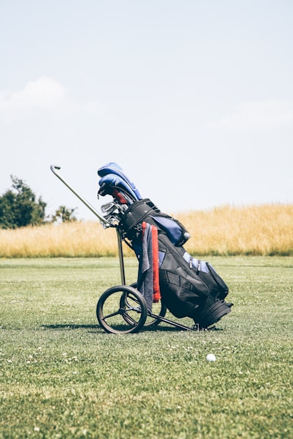 Wyndham Clark: A Domain for Professionals